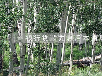 银行贷款先息后本逾期罚息 银行贷款先息后本逾期罚息