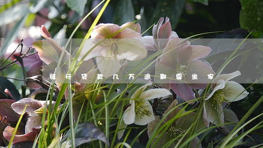 银行贷款几万逾期要坐牢 银行贷款几万逾期要坐牢