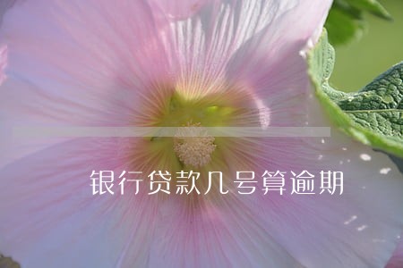 银行贷款几号算逾期 银行贷款几号算逾期