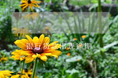 银行贷款出现逾期 银行贷款出现逾期