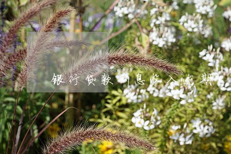 银行贷款利息收入逾期90天 银行贷款利息收入逾期90天