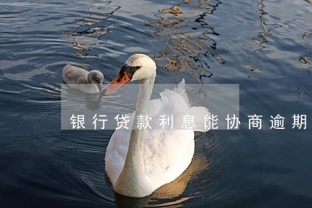 银行贷款利息能协商逾期吗 银行贷款利息能协商逾期吗