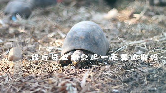 银行贷款利息迟一天算逾期吗 银行贷款利息迟一天算逾期吗