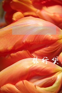银行贷款利息逾期10天 银行贷款利息逾期10天