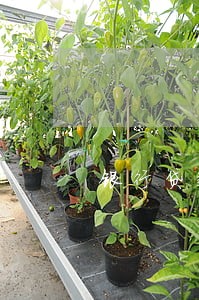 银行贷款利息逾期90天 银行贷款利息逾期90天