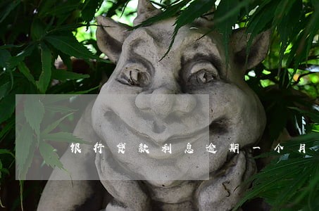 银行贷款利息逾期一个月 银行贷款利息逾期一个月