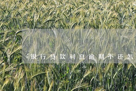 银行贷款利息逾期不还怎么办 银行贷款利息逾期不还怎么办