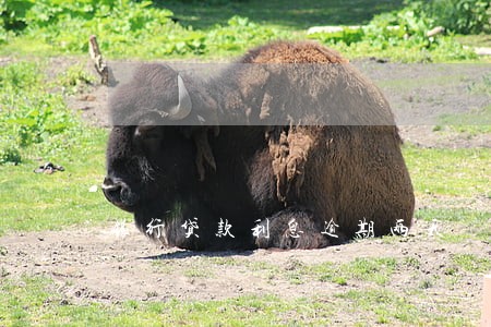 银行贷款利息逾期两天 银行贷款利息逾期两天