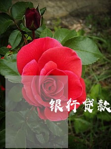 银行贷款利息逾期会上征信吗 银行贷款利息逾期会上征信吗
