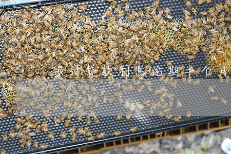 银行贷款利息逾期半个月 银行贷款利息逾期半个月