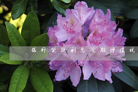银行贷款利息逾期增值税 银行贷款利息逾期增值税