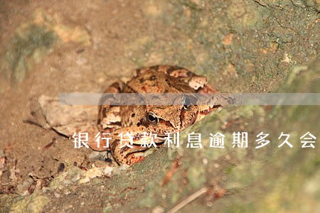 银行贷款利息逾期多久会影响征信 银行贷款利息逾期多久会影响征信