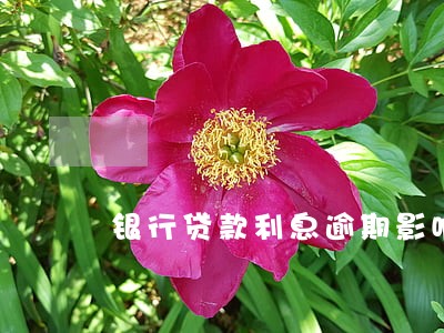 银行贷款利息逾期影响征信吗 银行贷款利息逾期影响征信吗