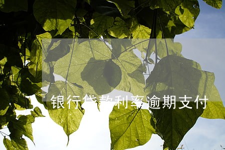 银行贷款利率逾期支付 银行贷款利率逾期支付