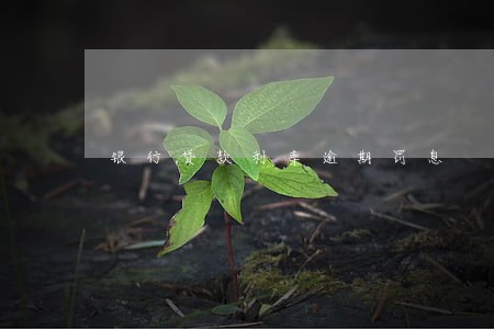 银行贷款利率逾期罚息 银行贷款利率逾期罚息