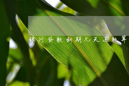 银行贷款到期几天还款算逾期 银行贷款到期几天还款算逾期