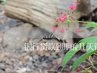 银行贷款到期晚几天算逾期 银行贷款到期晚几天算逾期