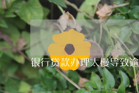 银行贷款办理太慢导致逾期 银行贷款办理太慢导致逾期