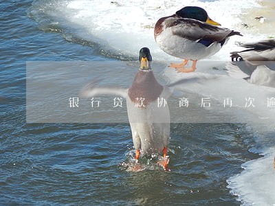 银行贷款协商后再次逾期 银行贷款协商后再次逾期