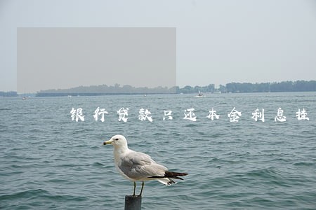 银行贷款只还本金利息挂账 银行贷款只还本金利息挂账