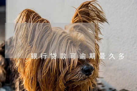 银行贷款可逾期最久多 银行贷款可逾期最久多