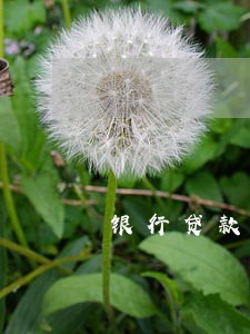银行贷款和信用卡逾期不还 银行贷款和信用卡逾期不还