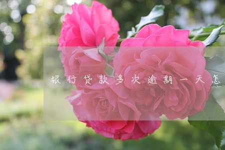 银行贷款多次逾期一天怎么办 银行贷款多次逾期一天怎么办