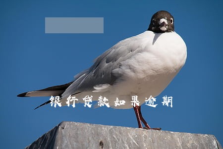银行贷款如果逾期 银行贷款如果逾期