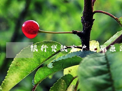 银行贷款客户逾期原因