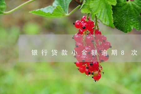 银行贷款小金额逾期8次 银行贷款小金额逾期8次