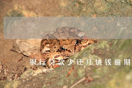 银行贷款少还几块钱逾期上征信么 银行贷款少还几块钱逾期上征信么
