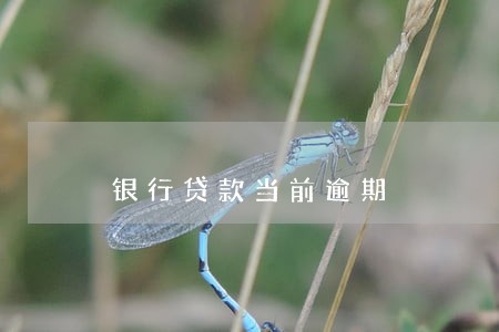 银行贷款当前逾期 银行贷款当前逾期