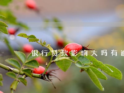银行贷款影响大吗有逾期 银行贷款影响大吗有逾期