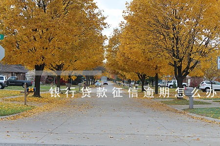 银行贷款征信逾期怎么办 银行贷款征信逾期怎么办