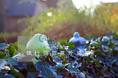 银行贷款意外逾期 银行贷款意外逾期