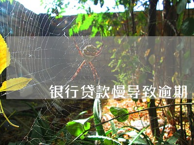 银行贷款慢导致逾期 银行贷款慢导致逾期