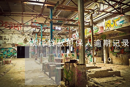 银行贷款担保人逾期记录