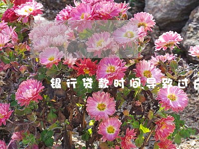 银行贷款时间导致过户逾期 银行贷款时间导致过户逾期