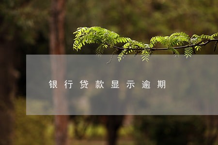 银行贷款显示逾期 银行贷款显示逾期