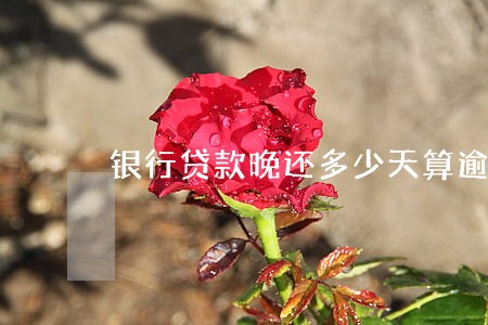 银行贷款晚还多少天算逾期 银行贷款晚还多少天算逾期