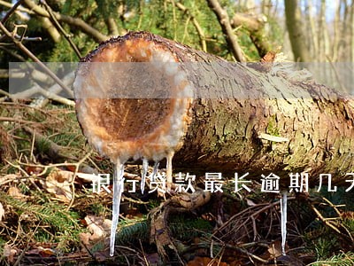 银行贷款最长逾期几天 银行贷款最长逾期几天