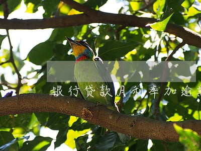 银行贷款月利率加逾期怎么算 银行贷款月利率加逾期怎么算