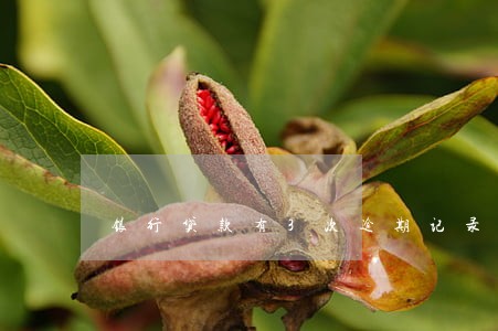 银行贷款有3次逾期记录 银行贷款有3次逾期记录