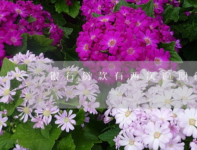 银行贷款有两次逾期能处理吗 银行贷款有两次逾期能处理吗