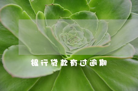 银行贷款有过逾期