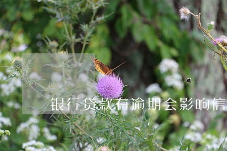 银行贷款有逾期会影响信用卡