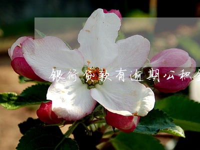 银行贷款有逾期公积金提取 银行贷款有逾期公积金提取