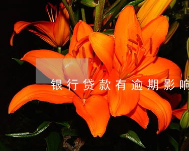 银行贷款有逾期影响什么影响 银行贷款有逾期影响什么影响