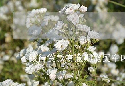 银行贷款有逾期能买车吗 银行贷款有逾期能买车吗