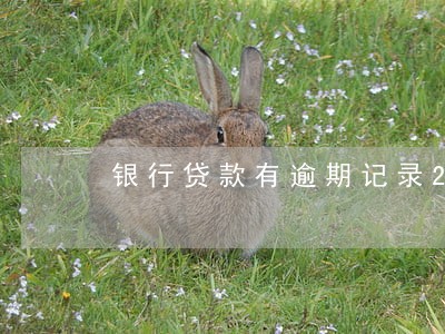 银行贷款有逾期记录2次 银行贷款有逾期记录2次